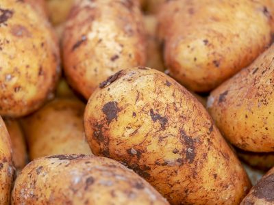 potatoes, vegetables, earth fruit-4059963.jpg